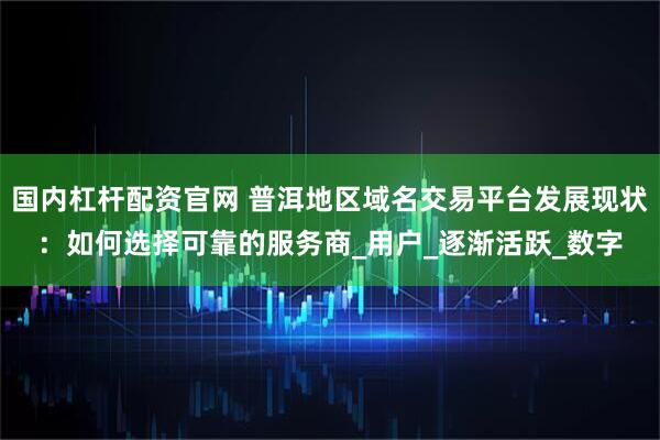 国内杠杆配资官网 普洱地区域名交易平台发展现状：如何选择可靠的服务商_用户_逐渐活跃_数字