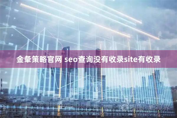 金夆策略官网 seo查询没有收录site有收录