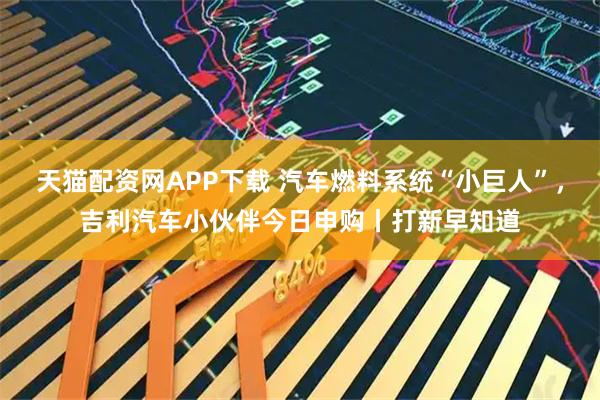 天猫配资网APP下载 汽车燃料系统“小巨人”，吉利汽车小伙伴今日申购丨打新早知道